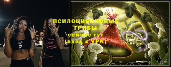 mix Лиски