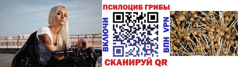 Псилоцибиновые грибы мухоморы  ОМГ ОМГ как войти  Комсомольск-на-Амуре 